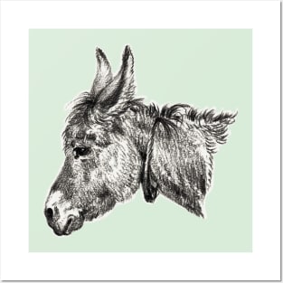 Donkey Posters and Art